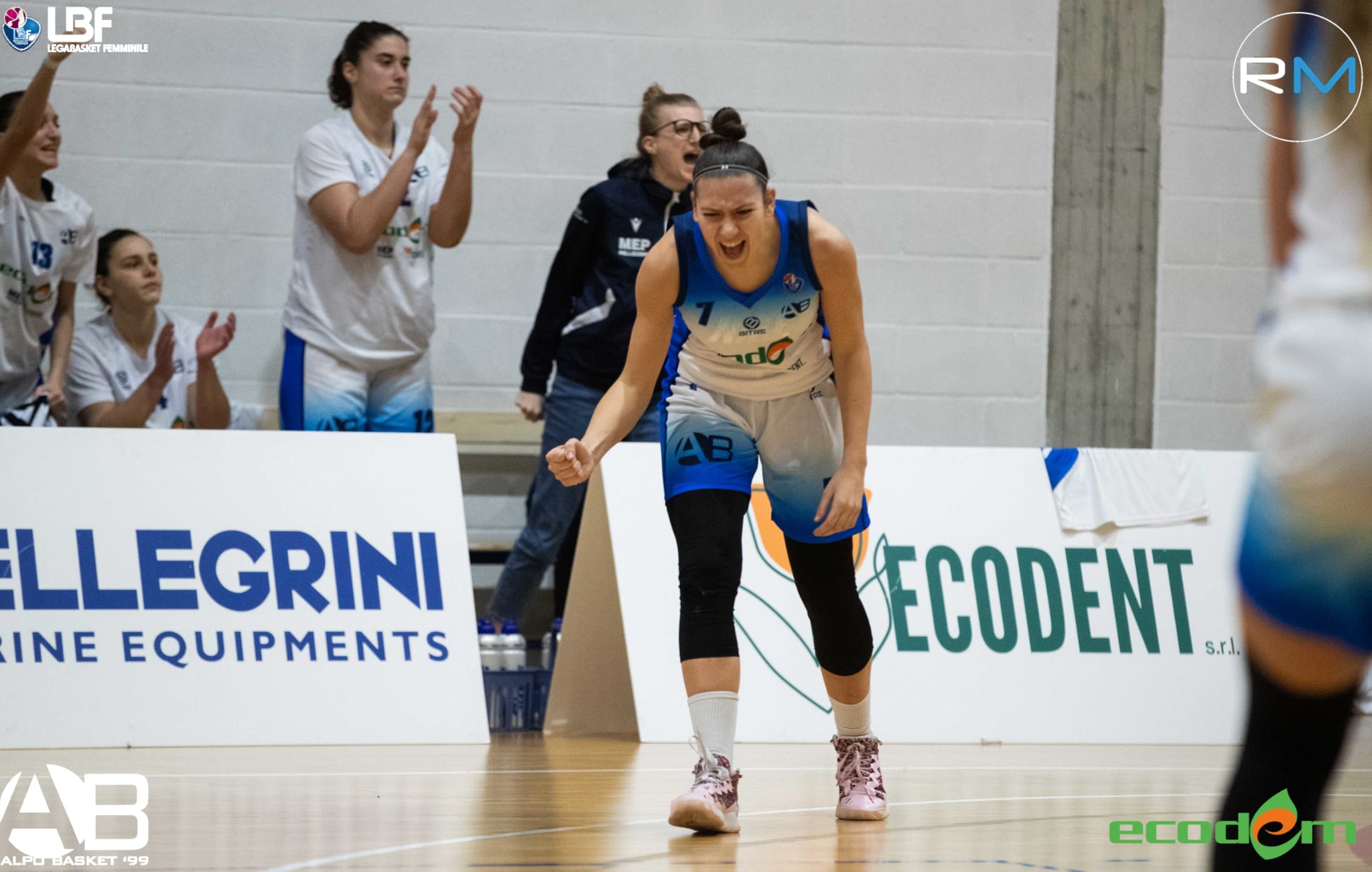Ecodem Alpo Basket, trasferta domani a Treviso per accedere alla Coppa Italia
